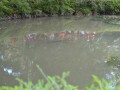 Tn 0429 DSC 5742